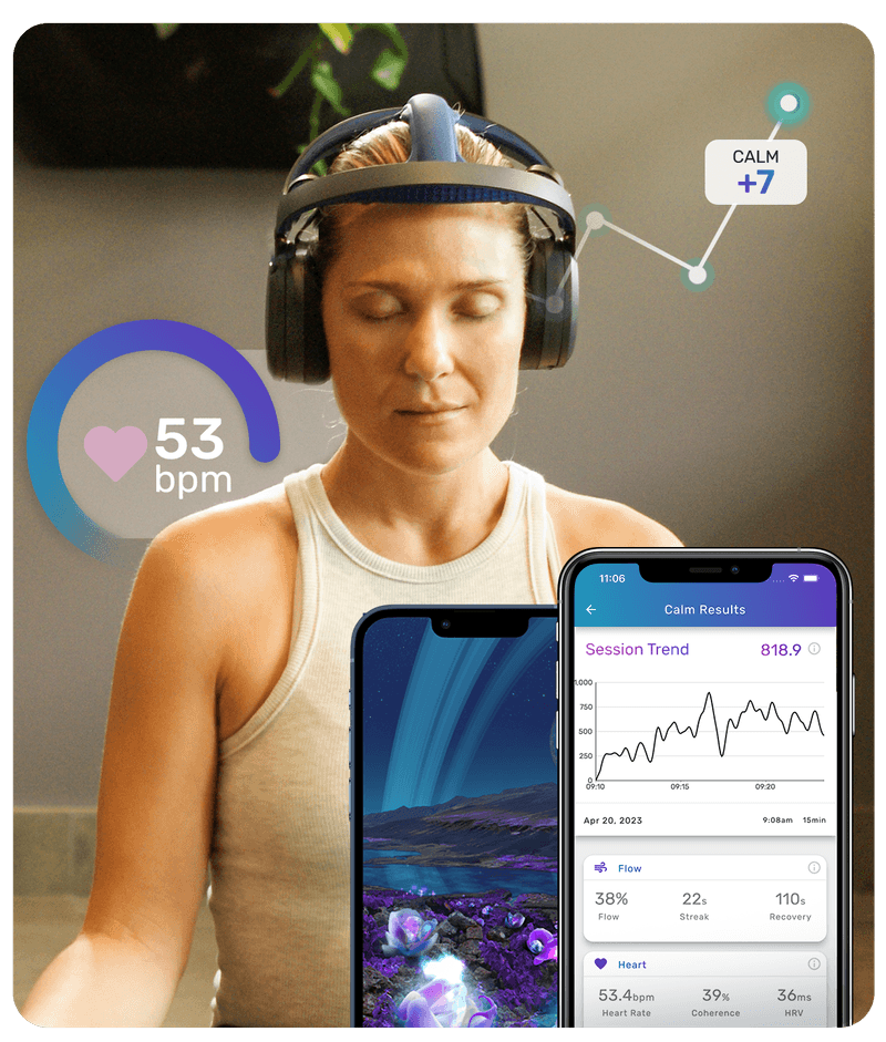 brain training system