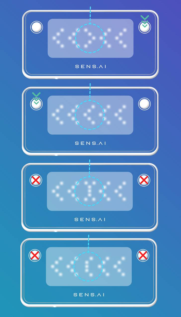 flanker task