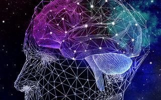 neurons